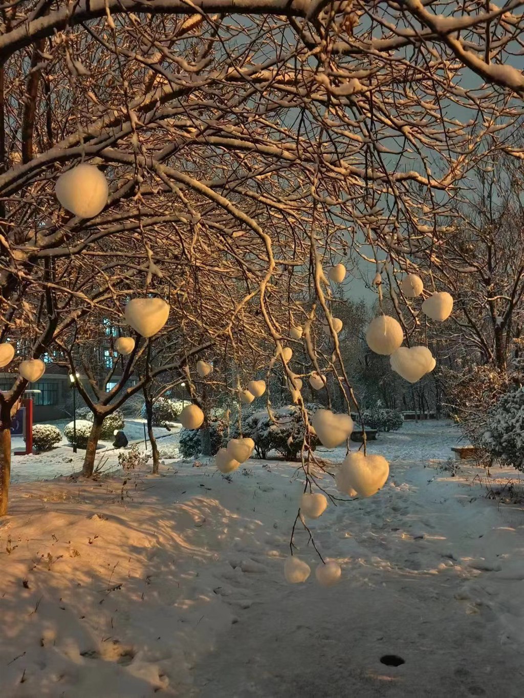 二等獎(jiǎng) 23軌道運(yùn)營(yíng)2班張利偉《冬日雪景》.jpg 二等獎(jiǎng) 23軌道運(yùn)營(yíng)2班張利偉《冬日雪景》.jpg